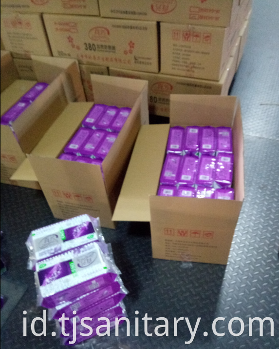 sanitary napkin with carton